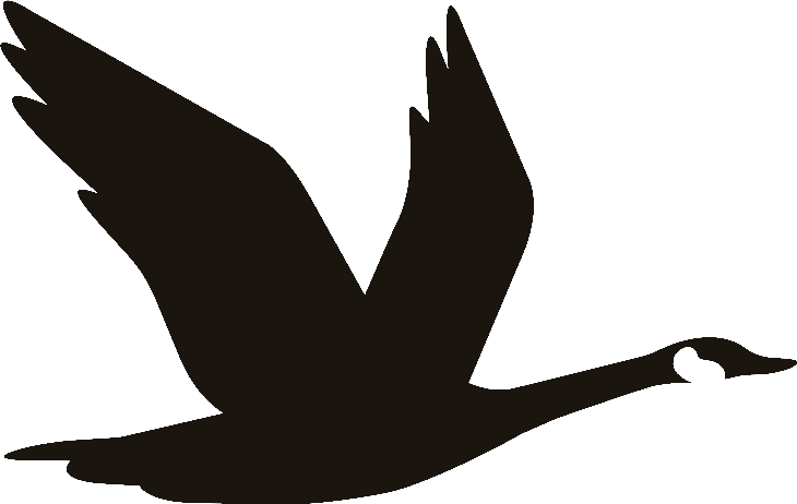 Wawa logo